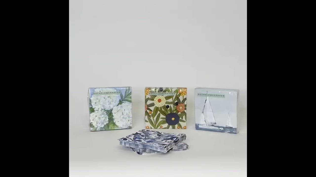 Holiday In the Park Paper Cocktail Napkins (Pack of 25) 1